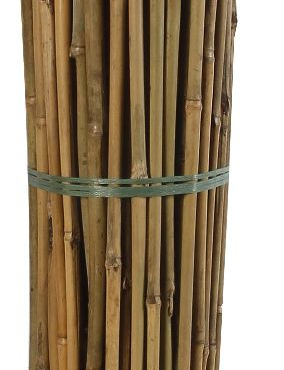 Bambusz termesztő karó (2) 1,5 m