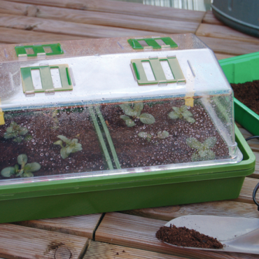 Heating Grow mini-greenhouse