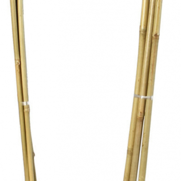 Bambusz karó ívelt (3) 1,5 m