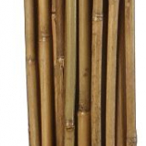 Bambusz termesztő karó 2,1 m