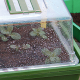 Heating Grow mini-greenhouse