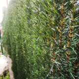 Greenwitch zöld-barna 2x3 m